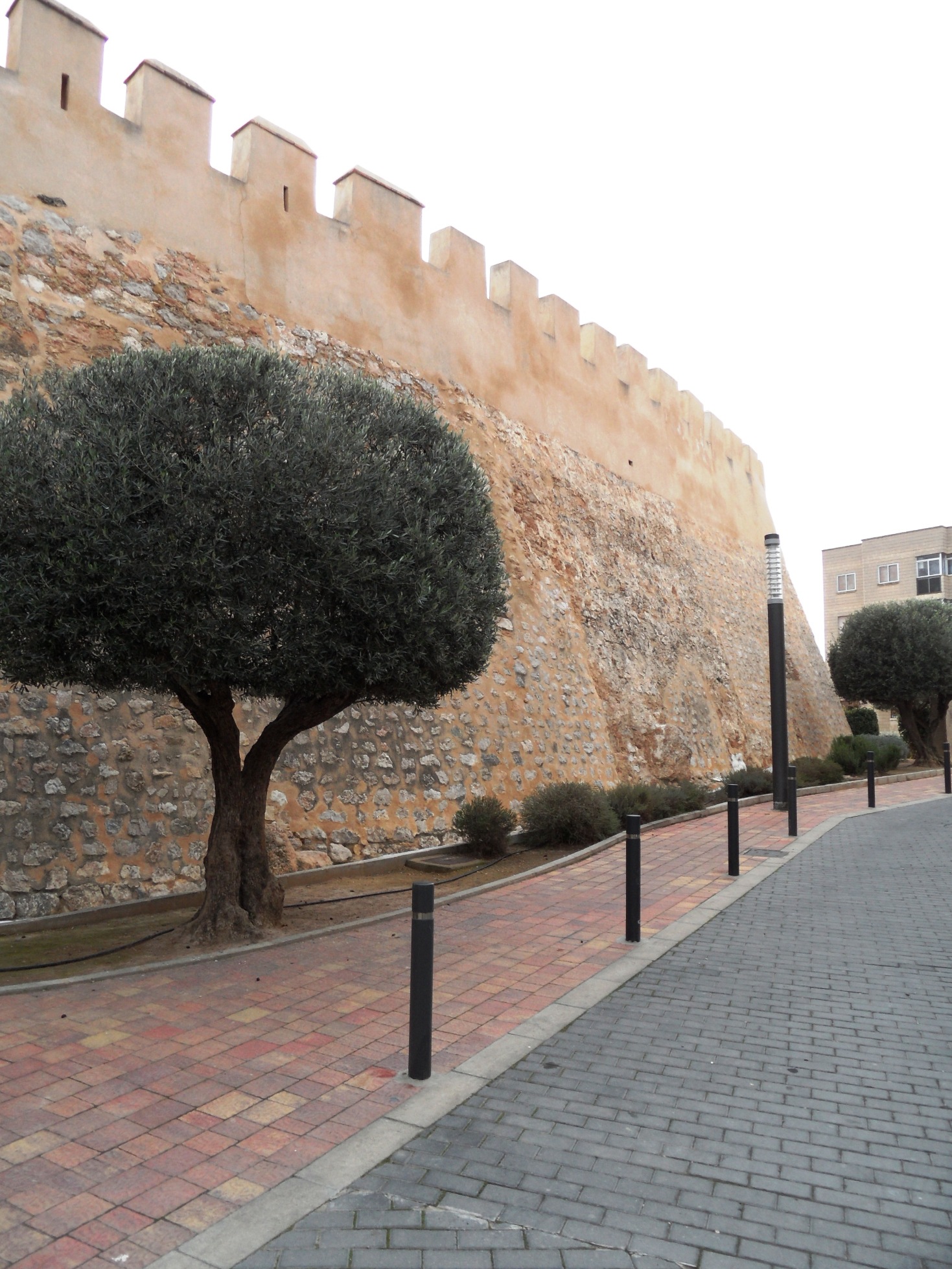 Castillo de Caudete, detalle.